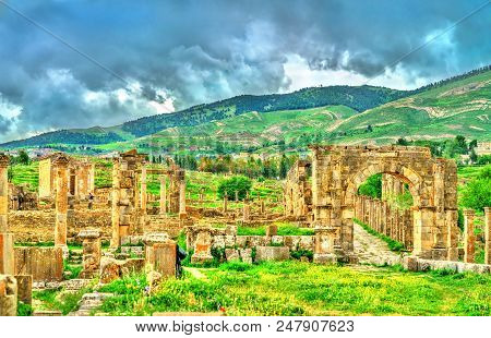 Berbero-roman Ruins At Djemila. Unesco World Heritage In Algeria