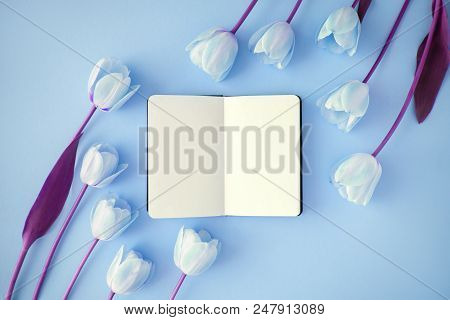 Opened Noteboog Around Beautiful Flowers. Blue Background. Flat Lay Style.