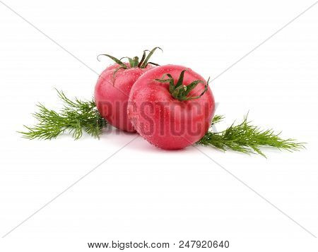 Ripe Tomatoes With Fresh Dill Are Situated On The White Background, Ready For Cooking.