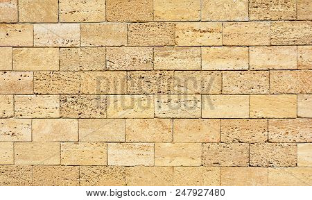 Coquina, Shelly House Limestone Wall Textured Background.