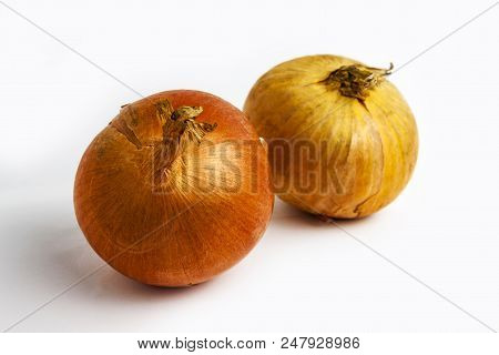 Fresh Onion Lies On A White Background