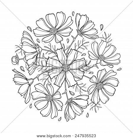 Vector Round Bouquet With Outline Cosmos Or Cosmea Flower Bunch, Ornate Leaf And Bud In Black Isolat