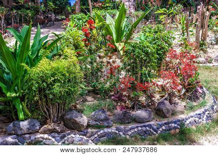 Colorful Flowerbed With A Variety Of Tropical Flowers Philippines. Gorgeous Floral Background.