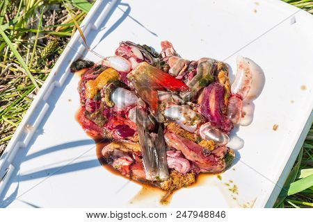 Fish Guts Offal On White. Selective Focus