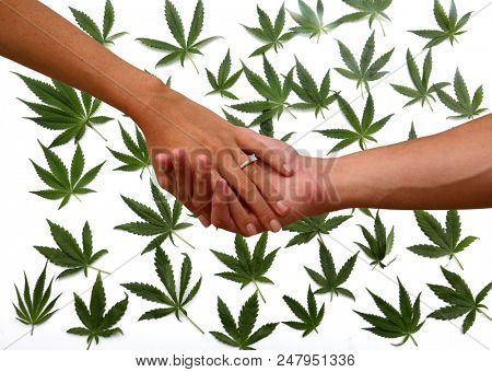 Engagement couple with Marijuana background. A couple hold hands with an engagement ring and marijuana leaf background. isolated on white. room for text. 