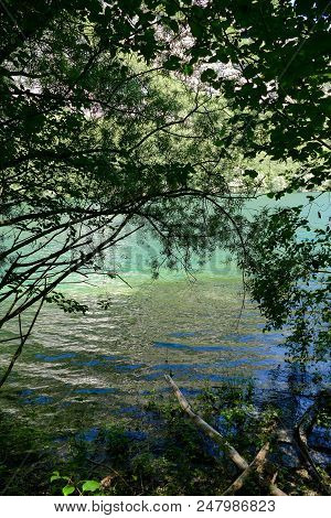 Photo View Of Molveno Lake In Dolomites Italy