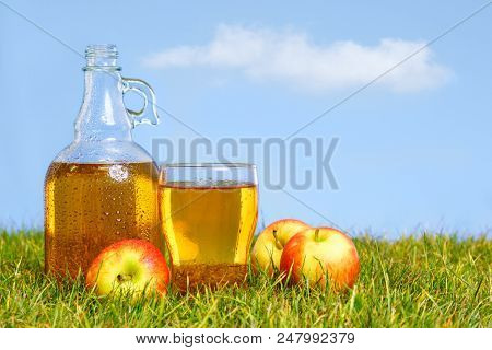 An ice cold flagon of fresh apple cider with pint glass amongst green grass in an orchard on a hot summers day.