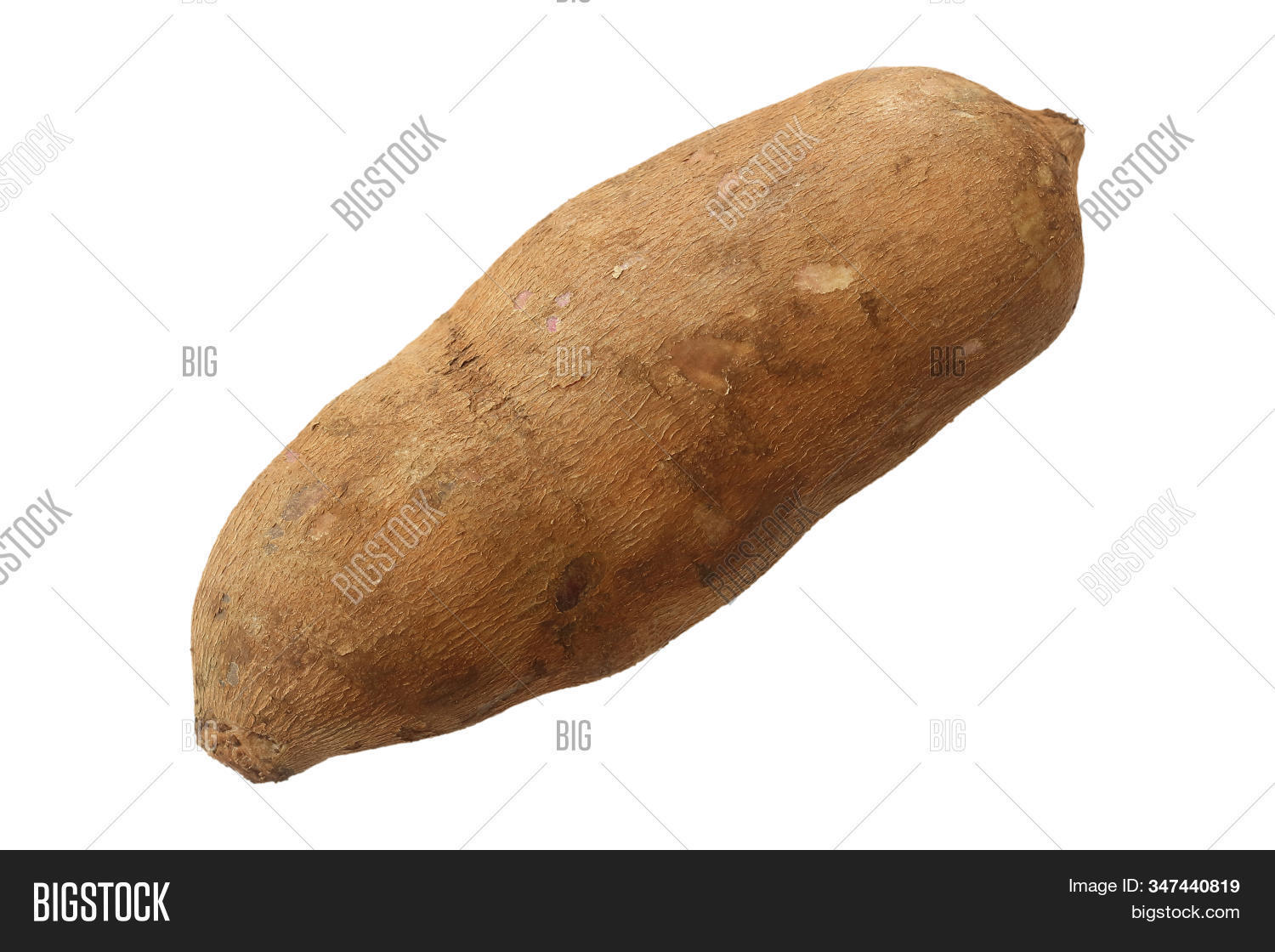 Yacon Fruit Herb Image & Photo (Free Trial) Bigstock