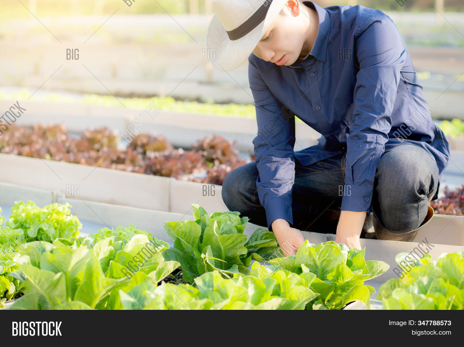 Young Asian Man Farmer Image Photo Free Trial Stock Young Asian Man Farmer Image Photo