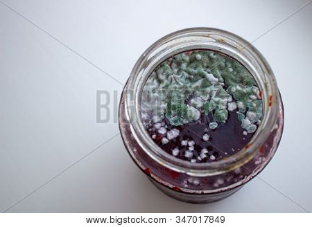 Mold In A Jar Of Jam. Hazardous To Health. Mold.