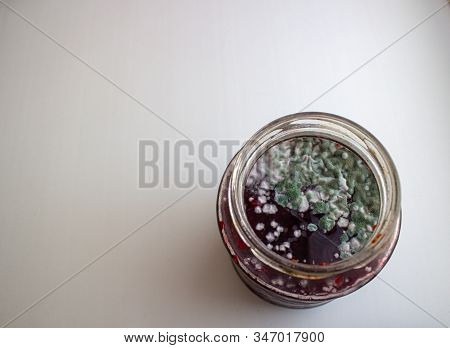 Mold In A Jar Of Jam. Hazardous To Health. Mold.