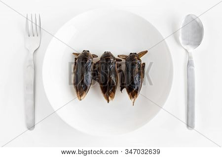 Giant Water Bug Is Edible Insect For Eating As Food Insects Cooking Deep-fried Snack On White Plate 