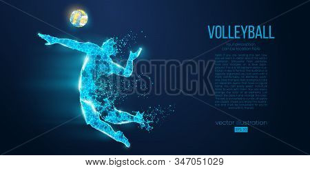 Abstract Silhouette Of Volleyball Player Man, Male With Volleyball Ball. All Elements On A Separate 
