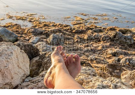 Legs Crossed And Barefoot At The Rocky Beach Covered In Kelp And Seaweed In Key Largo, Florida