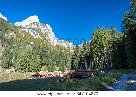 The Carnic Alps In A Colorful Autumn Day
