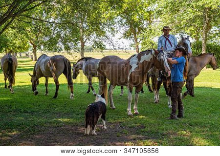 Areco, Argentina - January 22,2018:  Gauchos, Horsesand Dog  In A Country Farm 70 Miles Northwest Of