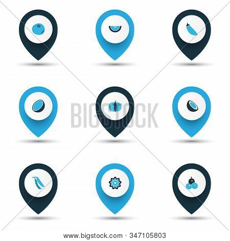 Fruit Icons Colored Set With Cocoanut, Eggplant, Olives And Other Cocoanut Elements. Isolated Vector