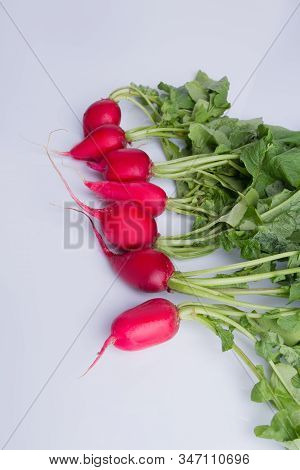 Harvest Of Ripe Redishes Arranged In A Row. White Isolated Background.