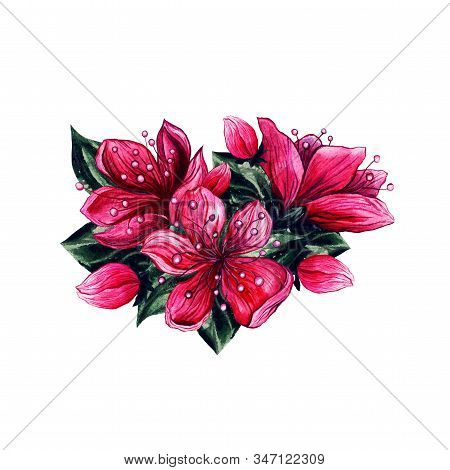 Plum Blossom Flowers, Watercolor Hand Drawn Asian Pink Flowers Bunch With Floral Buds. Botanical Ill