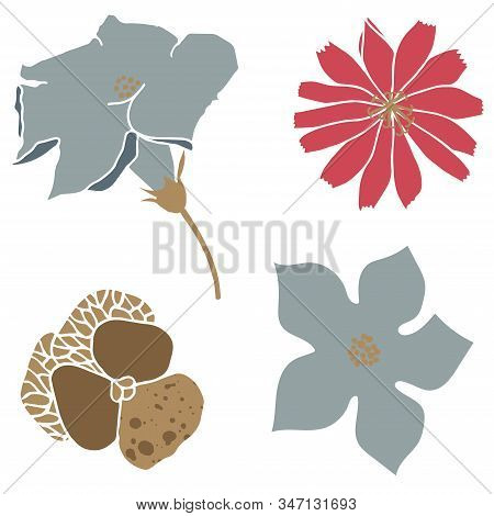 Vector Illustration With Flowers. Cute Violet, Chicory And Zucchini Flowers. Image For Fabrics Print