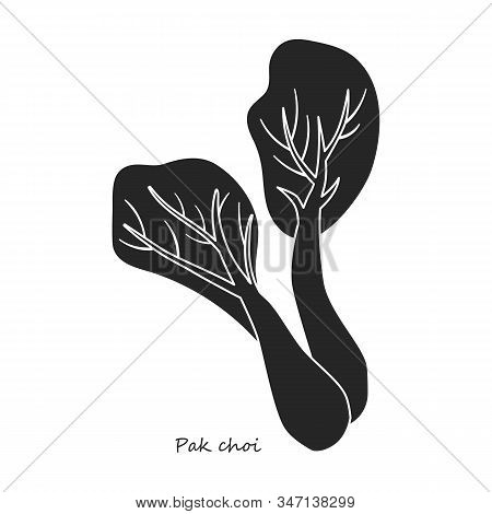 Lettuce Pak Vector Icon.black, Simple Vector Icon Isolated On White Background Lettuce Pak .