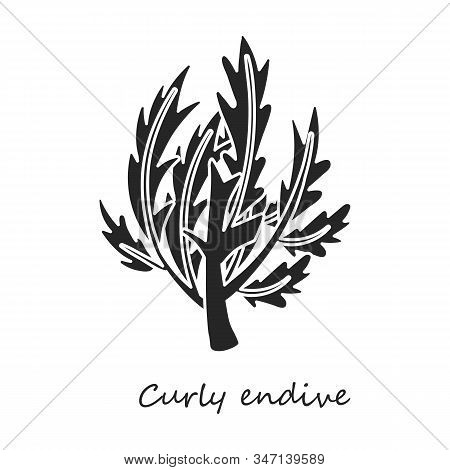 Curlu Vector Icon.black, Simple Vector Icon Isolated On White Background Curlu .