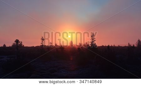 Foggy Sunrise In A Mountain Forest, Pecny (1330 M), Jeseniky, Czech Republic. November 2019