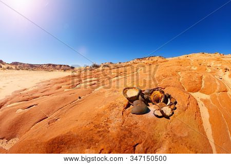 Moqui Marbles - The Stony Spheres Or Sandstone Balls Cemented By A Hard Shell Of Iron Oxide Minerals
