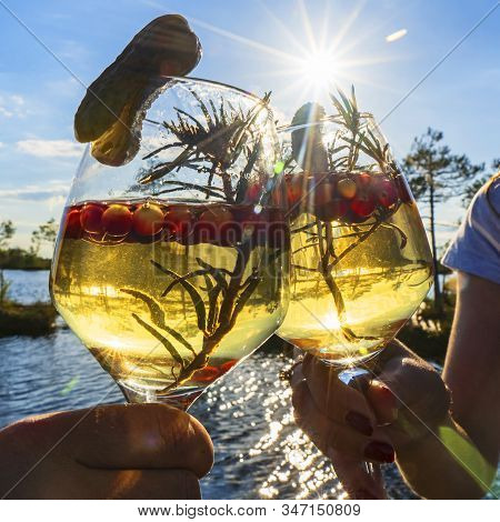 Original Recipe Swamp Mojito. Non-alcoholic Cocktail. Swamp Water, Cucumber, Cranberry In Two Glasse