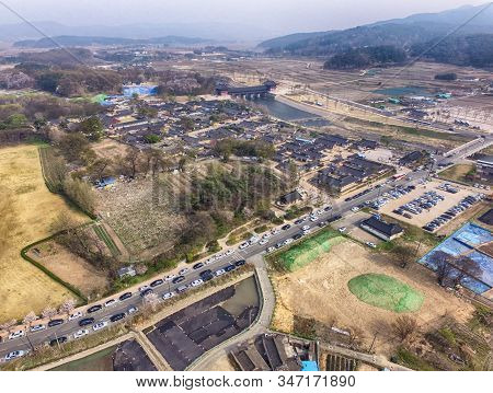 Cherry Blossoms Blooming Spring Of Gyochon Traditional Village, Gyeongju, Korea