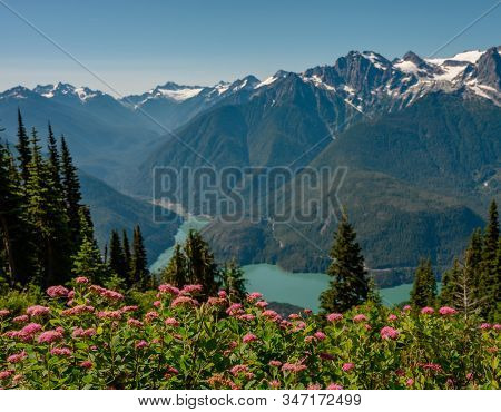 Pink Wildflowers In Front Of Diablo Lake And North Cascades Mountains