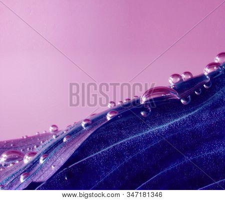 Violet laef with drops in pink water.
