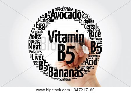 Vitamin B5 Word Cloud Collage, Health Concept Background