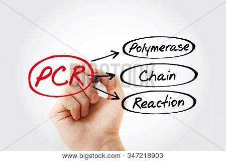 Pcr - Polymerase Chain Reaction Acronym, Health Concept Background