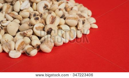 Job's Tears, Also Known As Adlay And Coix On Red Background. Popular In Asian Cultures As A Food Sou