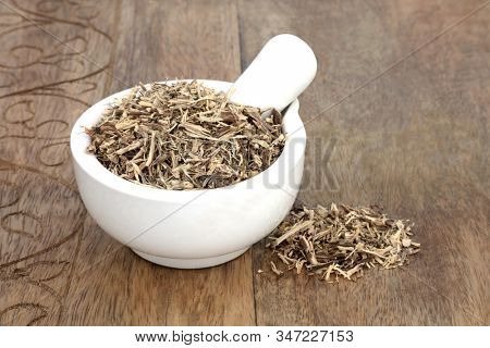 Nettle root herb in a mortar with pestle used in herbal medicine to treat arthritis, hair loss, kidney stones, urinary tract infections &  inflammation, is a diuretic & has many other health benefits.