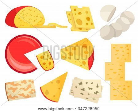 Various Types Of Cheese. Modern Flat Style Realistic Vector Illustration Icons, Isolated On White Ba