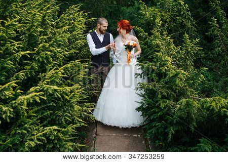 Newly Wed Couple Walking Through Space Between Junipers In A Park