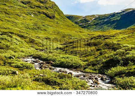 River Stream In Green Summer Mountains, Norway Natue