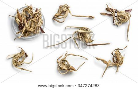 Dry Artichoke Flowers On A White Background. The View From The Top