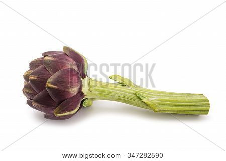 Fresh Artichoke Isolated On A White Background