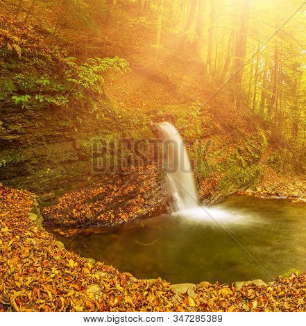 Autumn Mountain Waterfall Stream In The Rocks With Colorful Red Fallen Dry Leaves, Natural Seasonal 