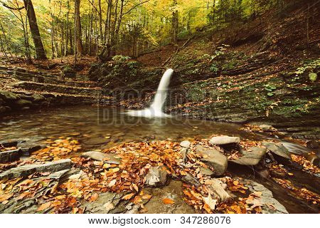 Autumn Mountain Waterfall Stream In The Rocks With Colorful Red Fallen Dry Leaves, Natural Seasonal 