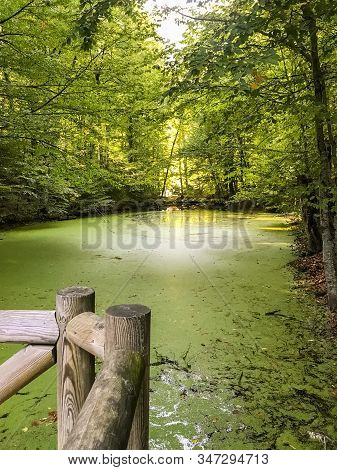 Beautiful Autumnal View Of Recreation Area At Lake Derin In Yedigoller National Park, Bolu City, Tur