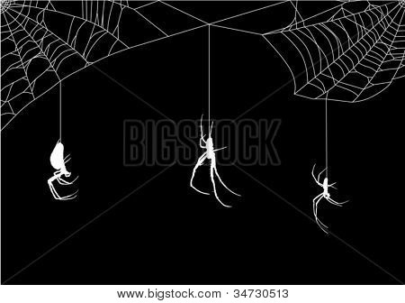 illustrazione con ragnatela isolato su sfondo nero