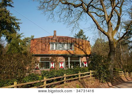 Typiskt holländska hus med fönsterluckor i skogen