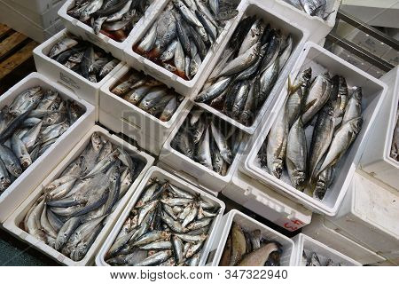 Sea Food At Billingsgate Fish Market In Poplar, London, Uk.