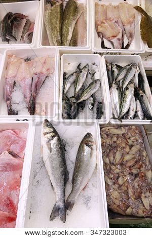 Sea Food At Billingsgate Fish Market In Poplar, London, Uk.