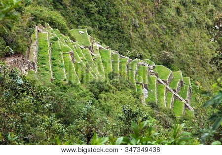 Choquequirao, One Of The Best Inca Ruins In Peru. Choquequirao Inca Trekking Trail Near Machu Picchu