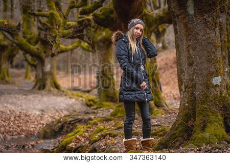 A Young Girl In A Tree In The Otzarreta Forest In The Gorbea Natural Park, Bizkaia. Basque Country. 